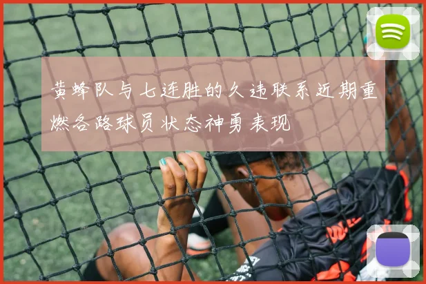 黄蜂队与七连胜的久违联系近期重燃各路球员状态神勇表现