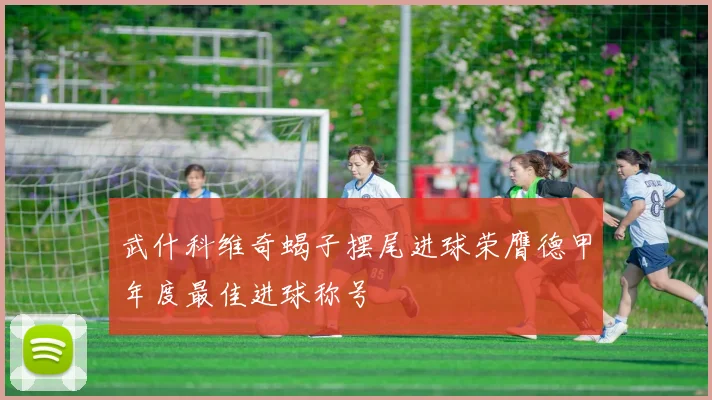 武什科维奇蝎子摆尾进球荣膺德甲年度最佳进球称号