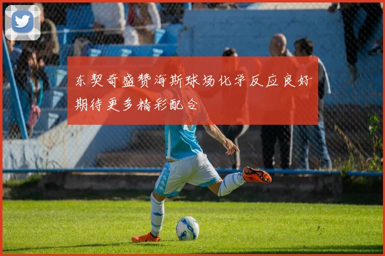 东契奇盛赞海斯球场化学反应良好期待更多精彩配合