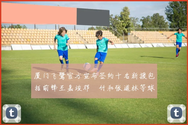 厦门飞鹭官方宣布签约十名新援包括前锋王嘉竣邓棽竹和张道林等球员